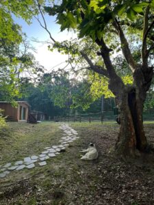 retraite_pleine_ conscience_afem _2026_a