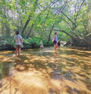 retraite_pleine_ conscience_afem _2026_h